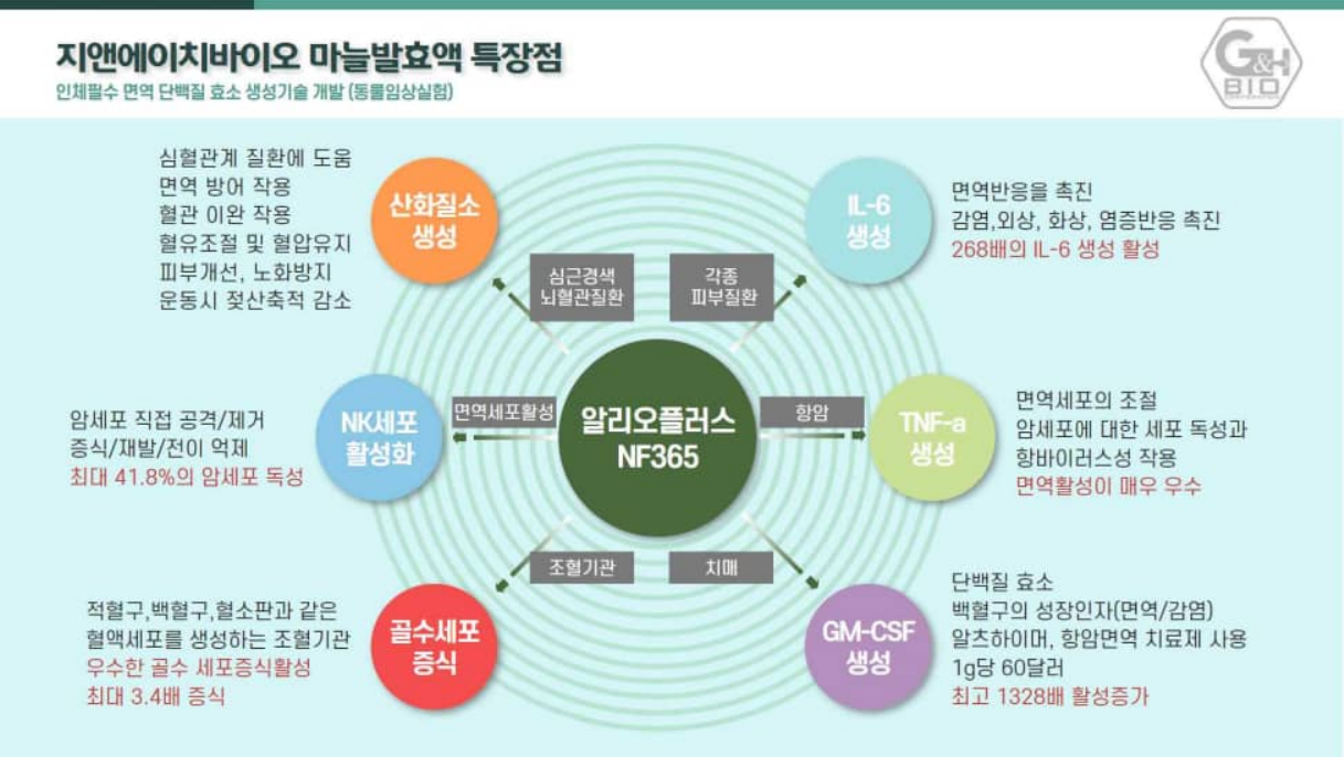 알리오플러스 NF365 마늘발효액 특장점 메커니즘