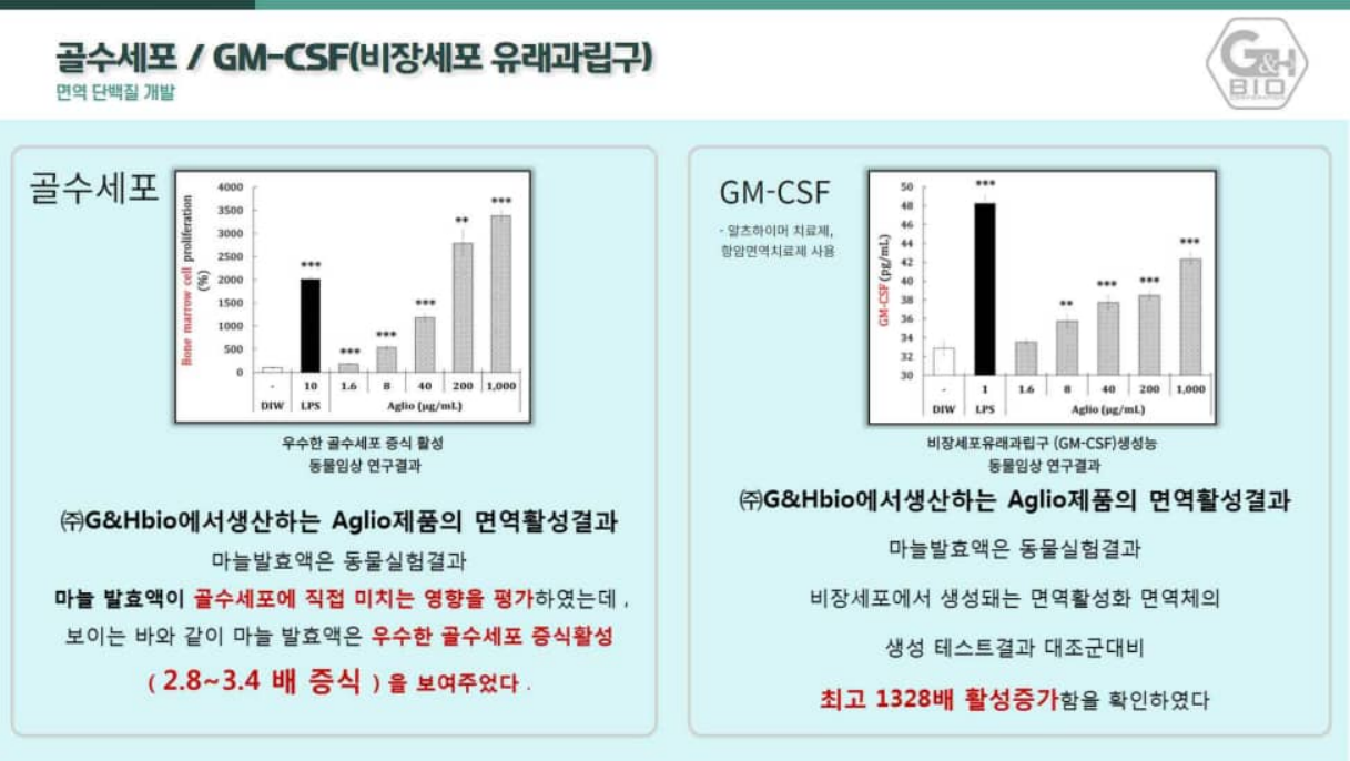 골수세포 2.8~3.4배 + GM-CSF 1328배 활성 증가