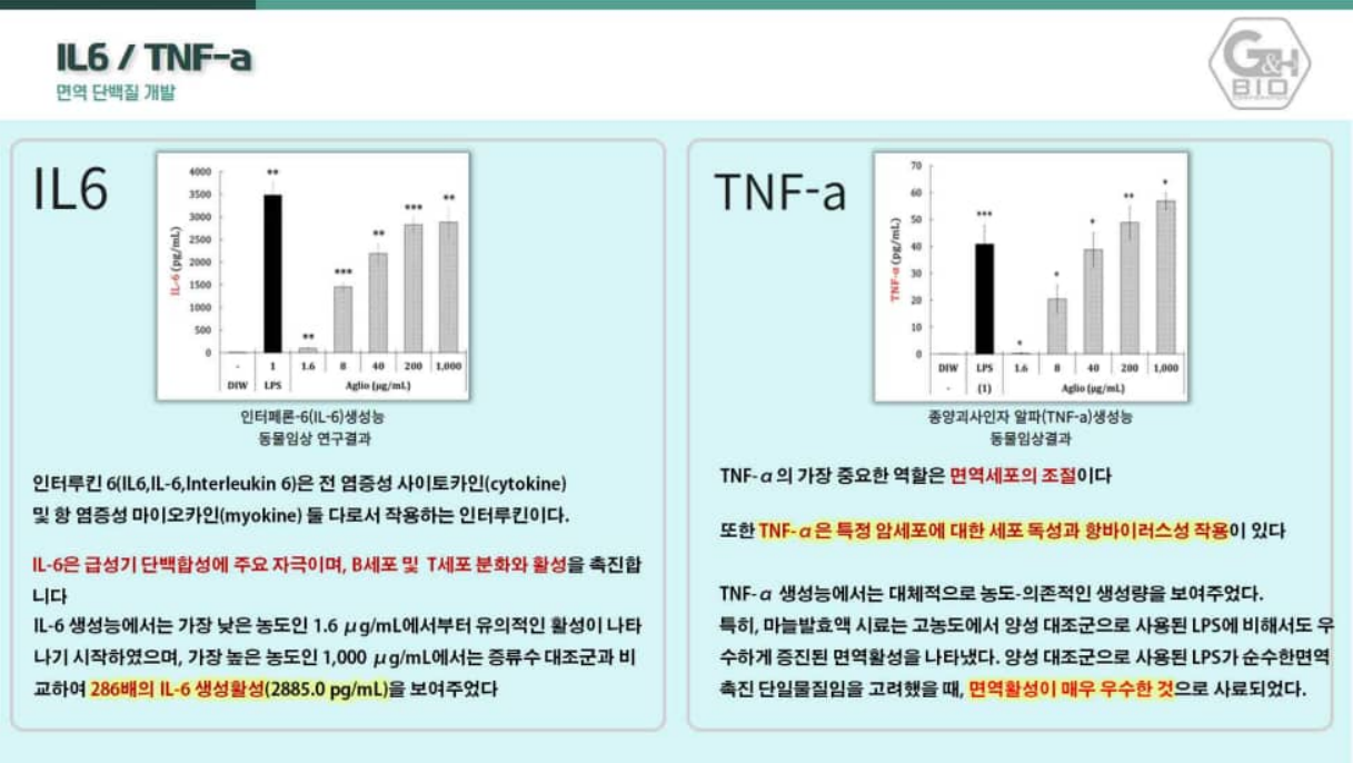 IL-6 286배 + TNF-a 면역활성 동물임상