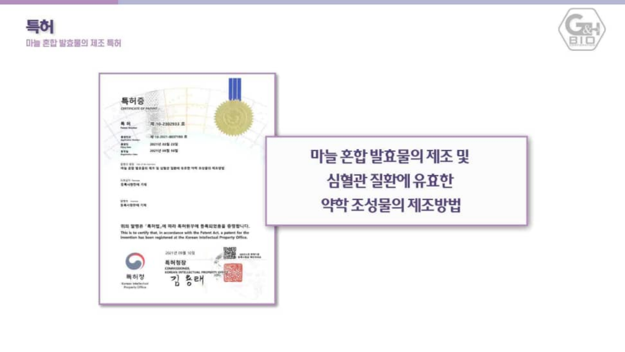 마늘 혼합 발효물의 제조 및 심혈관 질환 약학 조성물 특허